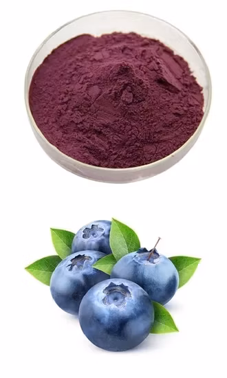 Hochwertiges Schwarz-Holunder-Extrakt-Pulver mit 25 % Anthocyanen
