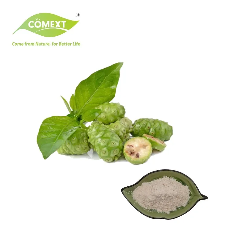 Comext Herbway Natural Supplements Factory Direktverkauf Morinda Citrifolia Linn Noni Extract Pflanzenextrakt